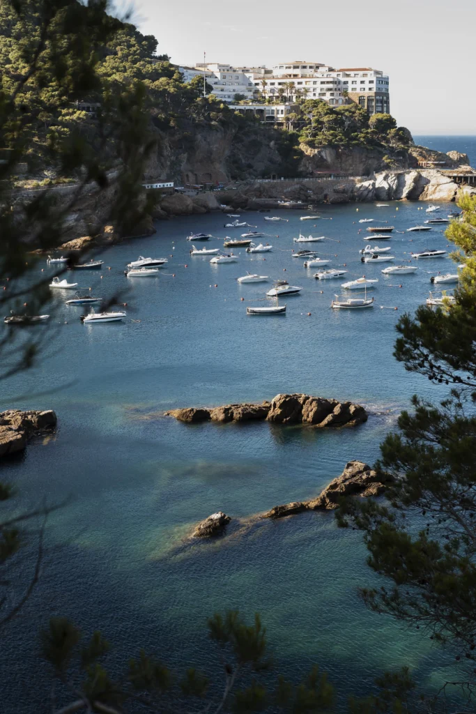 conciergerie a cannes