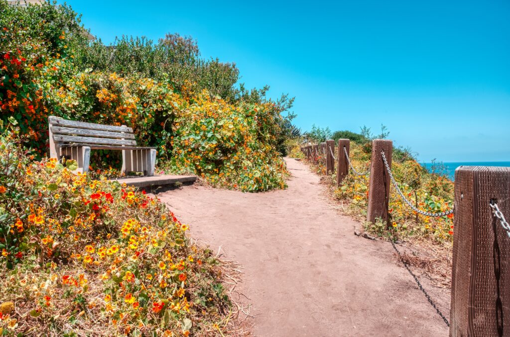 À Propos low angle shot of a wooden bench surrounded with blooming flowers under a clear blue sky