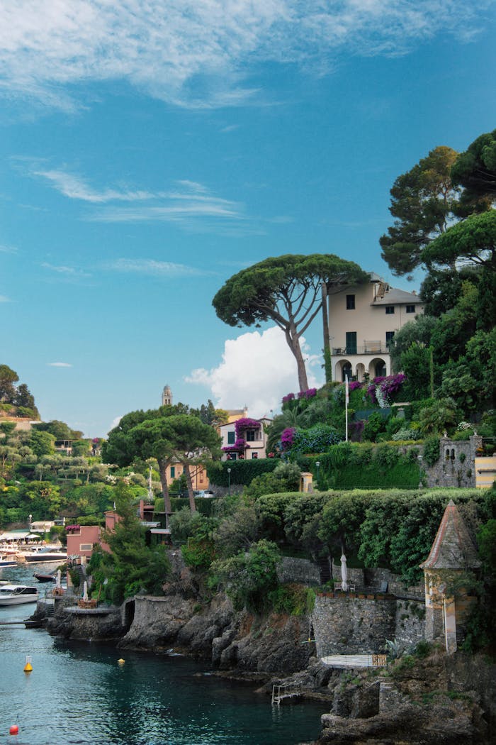 Beautiful summer view of Portofino's coastline featuring lush greenery and Mediterranean architecture.
